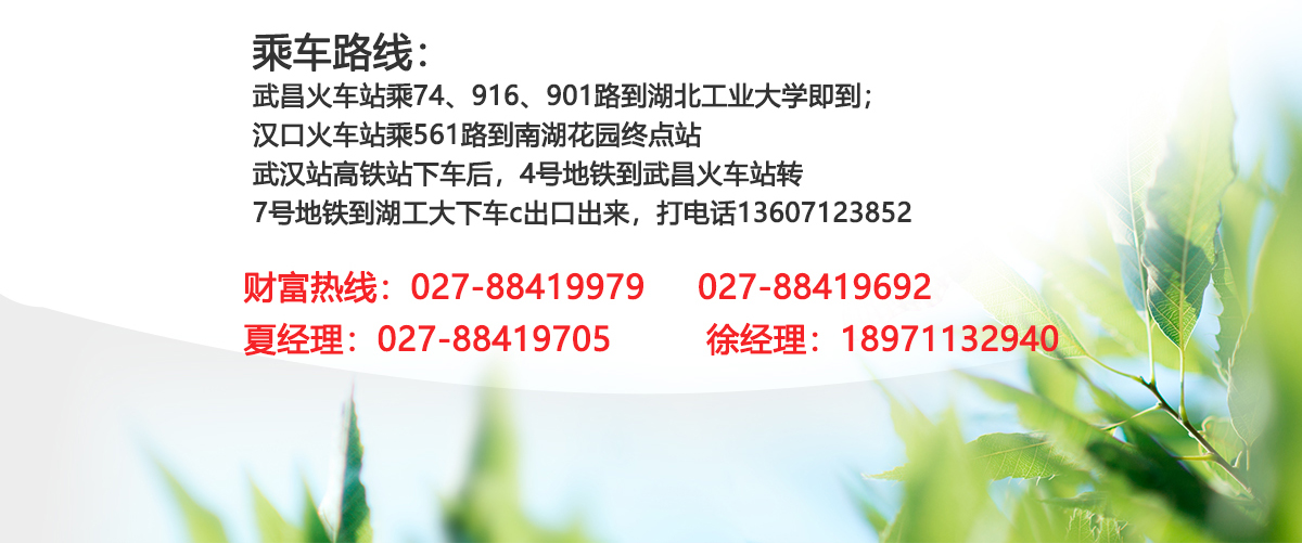 公司官網(wǎng)