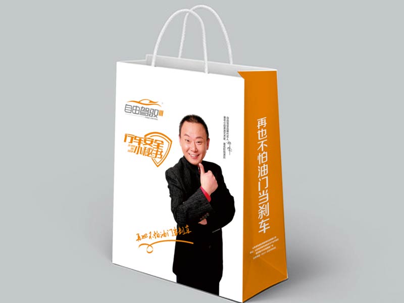 自由駕馭安全行車系統(tǒng)