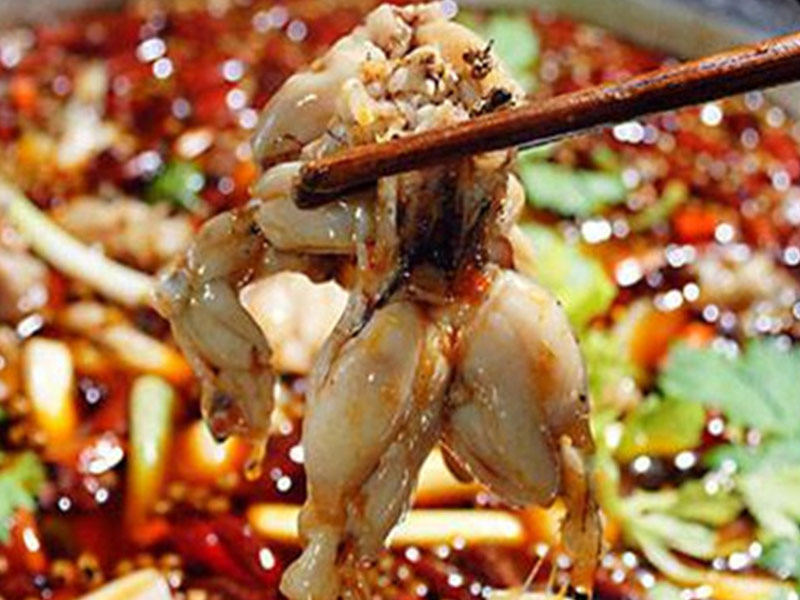 十八梯蛙隊長美蛙魚頭