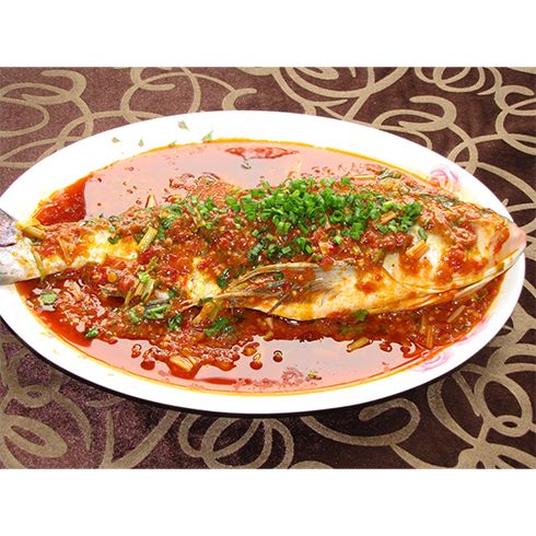鰱魚(yú)