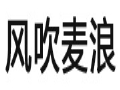風(fēng)吹麥浪女裝