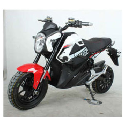 輝豹電動(dòng)車(chē)-傳統(tǒng)二輪車(chē)