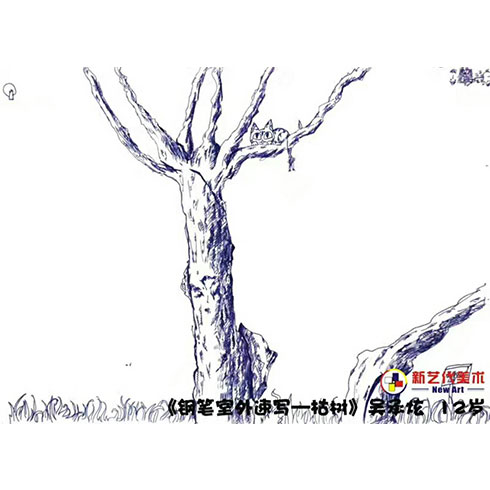 新藝代美術(shù)培訓(xùn)-鋼筆室外速寫枯樹(shù)